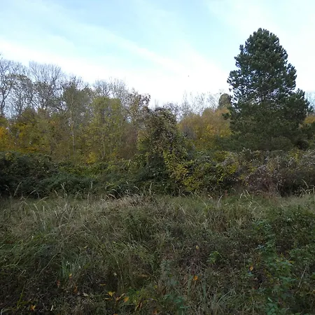 Le Refuge * Saint-Prix (Val d'Oise)